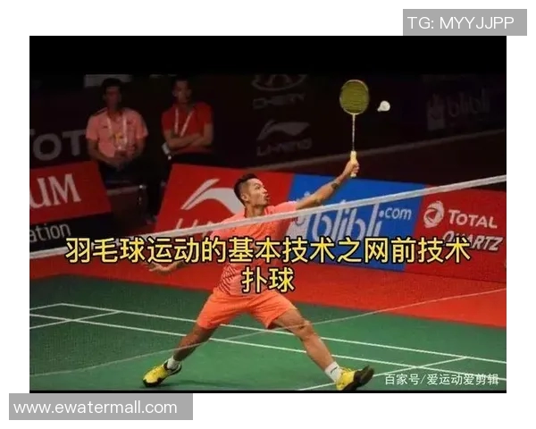 科学羽毛球训练指南：提升个人能力的有效方法与技巧分享MBA